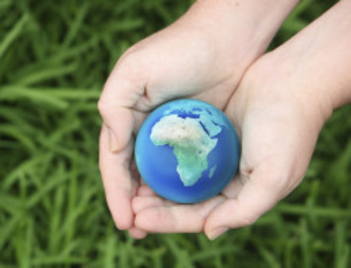 The New Warrior’s Cry: Veni Vidi Vigilo – I Came, I Saw, I Protect